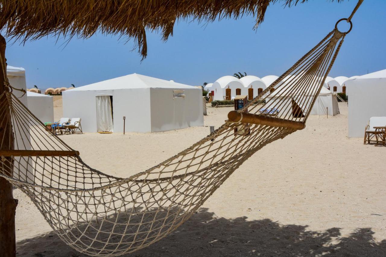 Marsa Shagra Village 阿布达巴 外观 照片